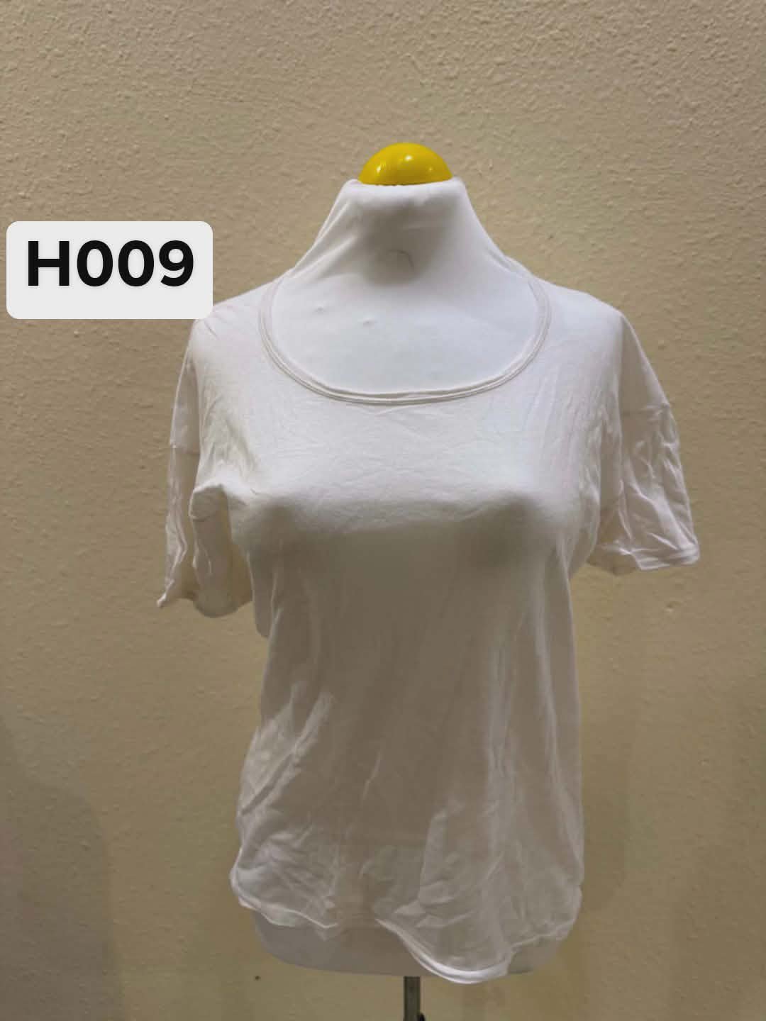 H009